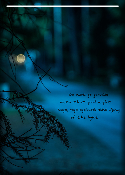 Dying of the Light