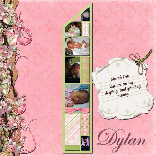 Dylan 1 month
