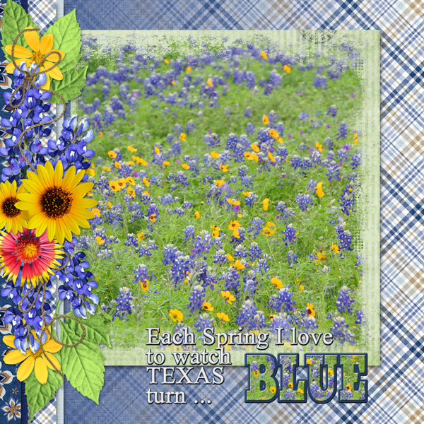 Each Spring I love to watch TEXAS turn ... BLUE