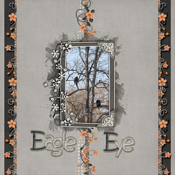 Eagle Eye-600