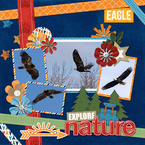 Eagles