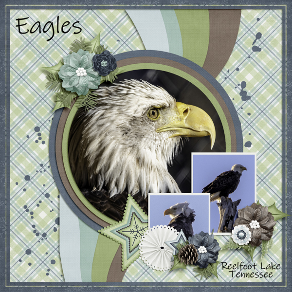 Eagles
