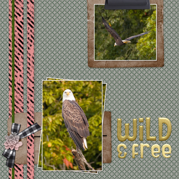 Eagles