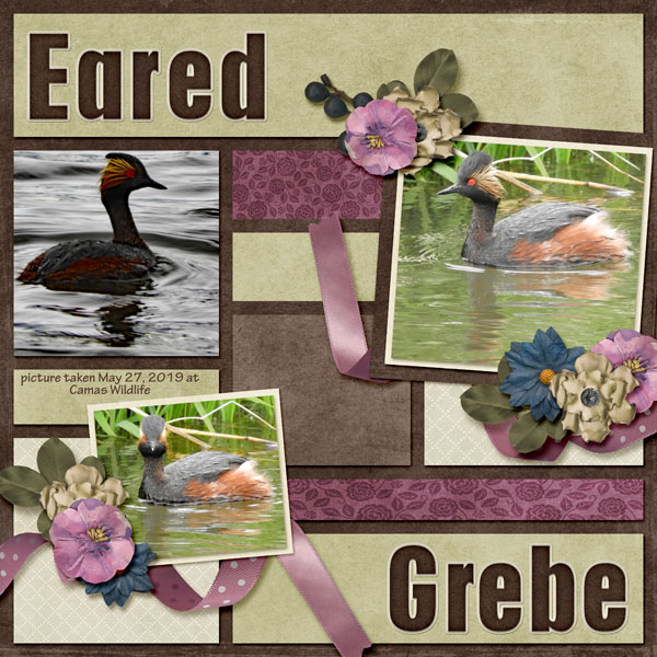 Eared_Grebe_paper_piecing_vol1_Legacy