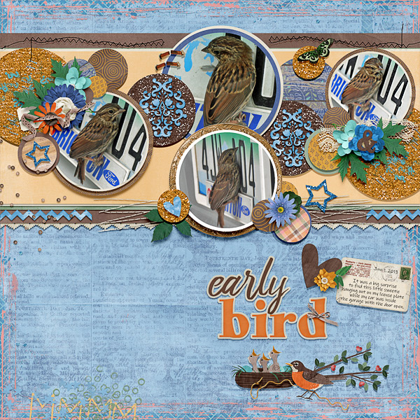 Early Bird on a License Plate