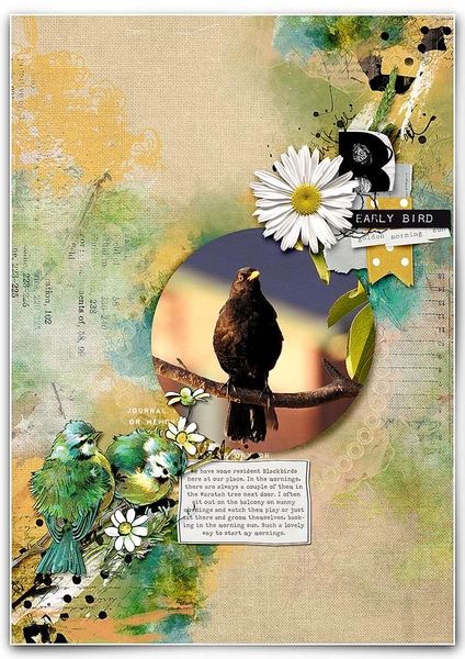 EARLY BIRD