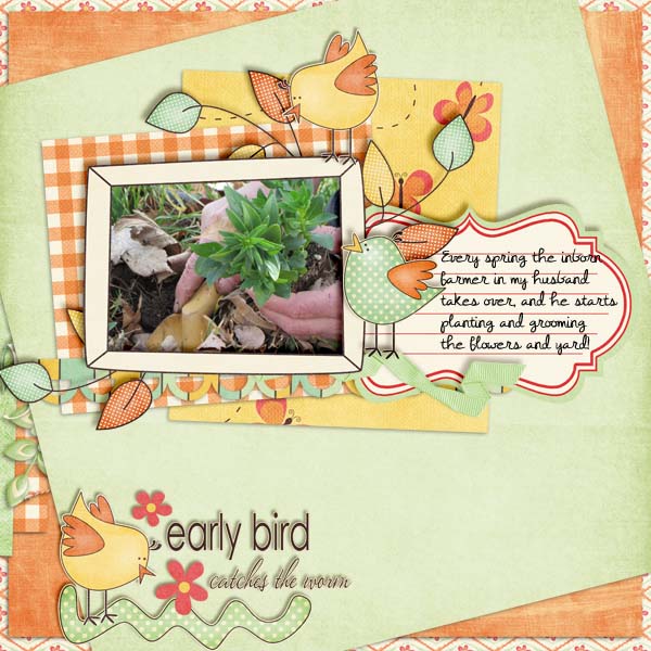 Early Bird
