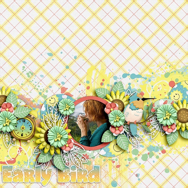 Early Bird