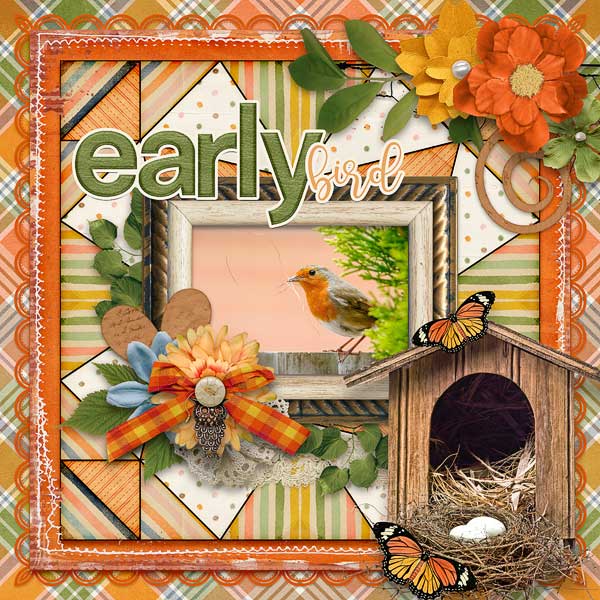 Early Bird