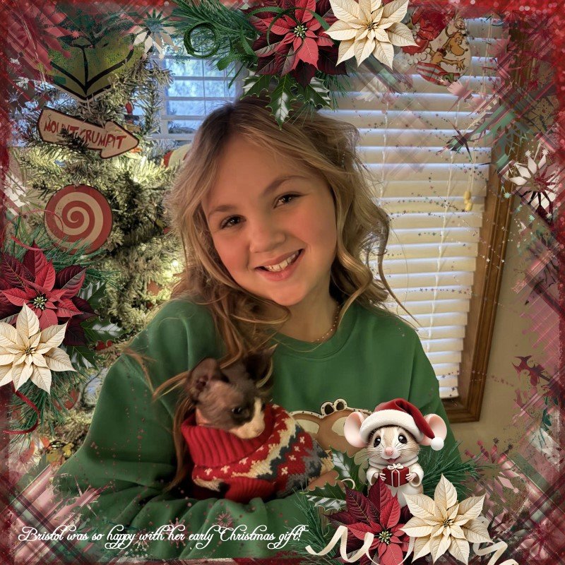 Early Christmas Surprise