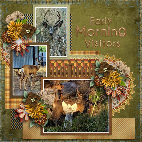 Early Morning Visitors