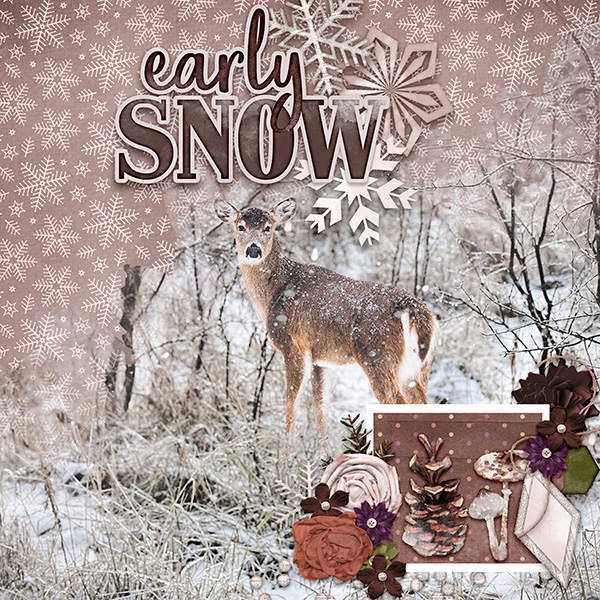 Early Snow