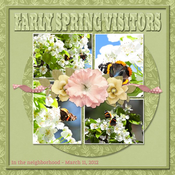 Early Spring Visitors