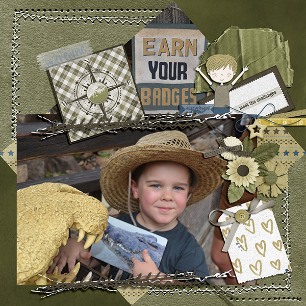Earn Your Badges