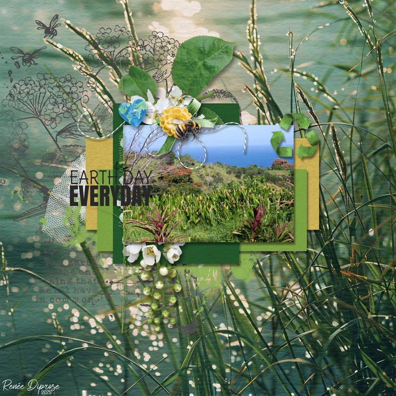 Earth Day - Everyday