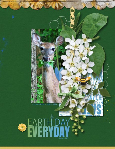 Earth-Day Everyday