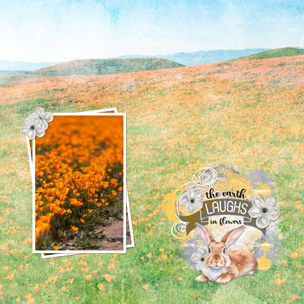 Earth Laughs in Flowers