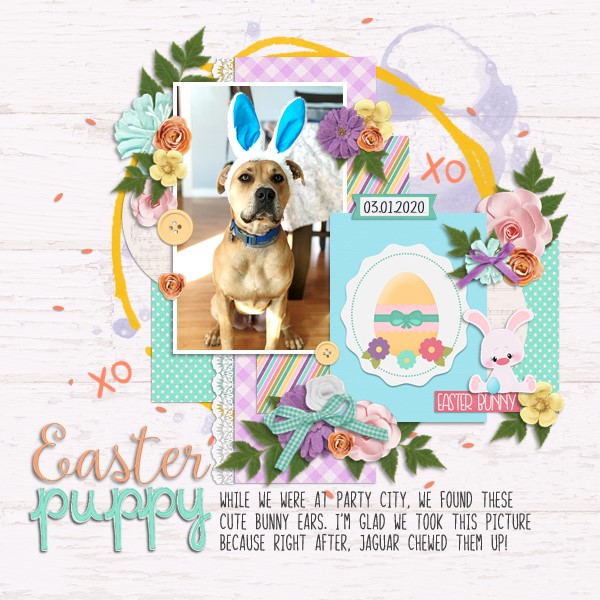 Easter Puppy
