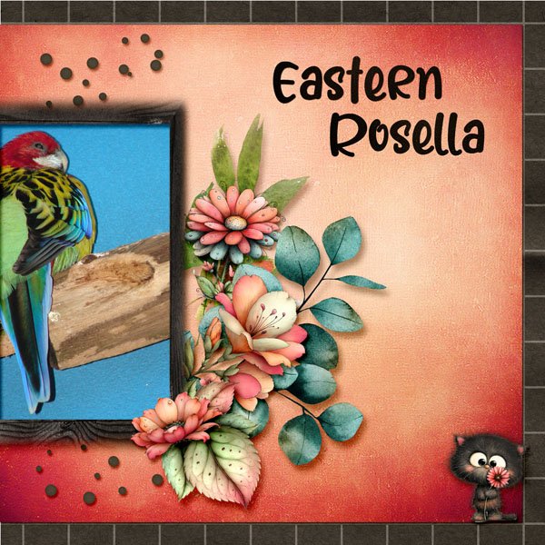 Eastern Rosella small.jpg