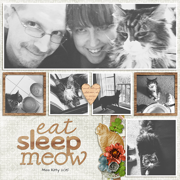 Eat Sleep Meow