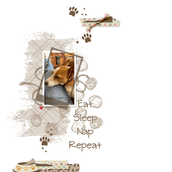 Eat, Sleep, Nap, Repeat