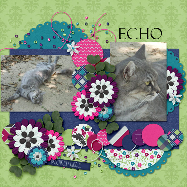 Echo