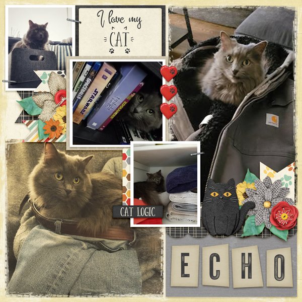 Echo