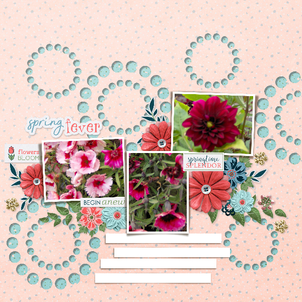 eclectic_spring