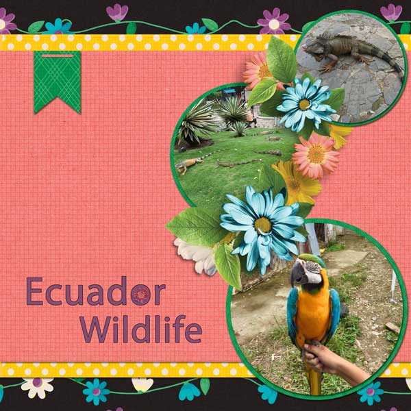 Ecuadore