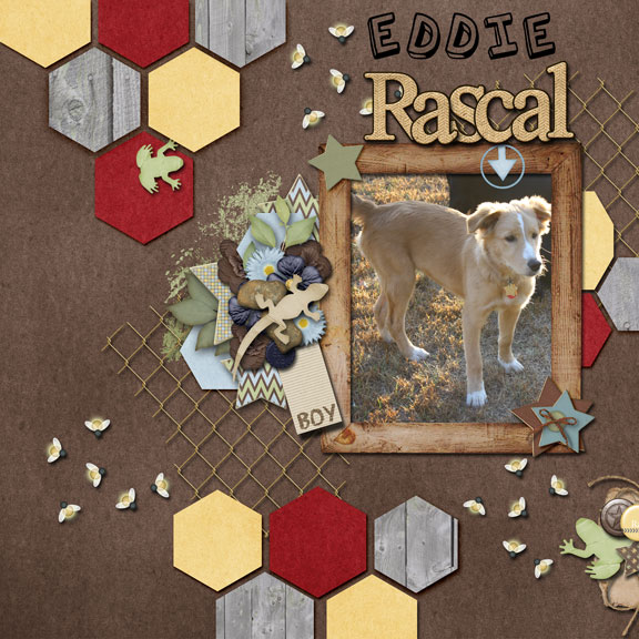 Eddie Rascal Boy