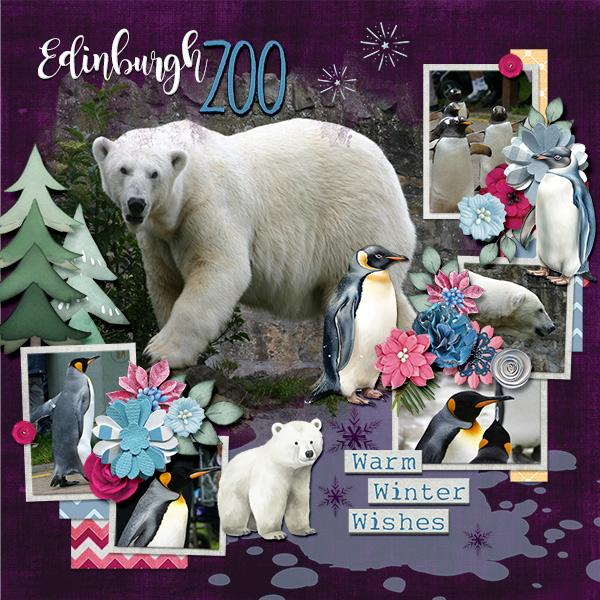 Edinburgh ZOO