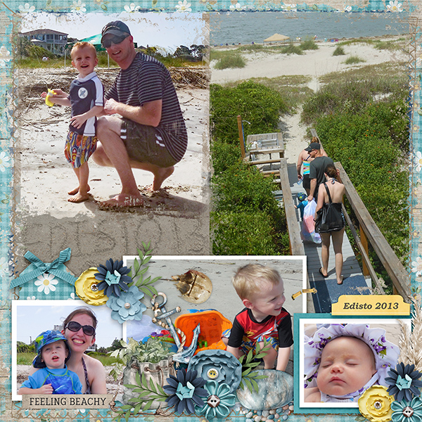 Edisto 2013