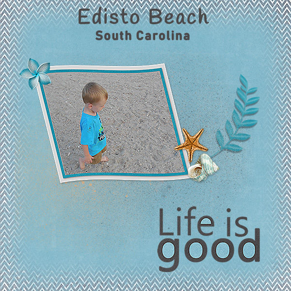 Edisto Beach
