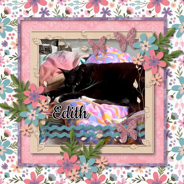 Edith