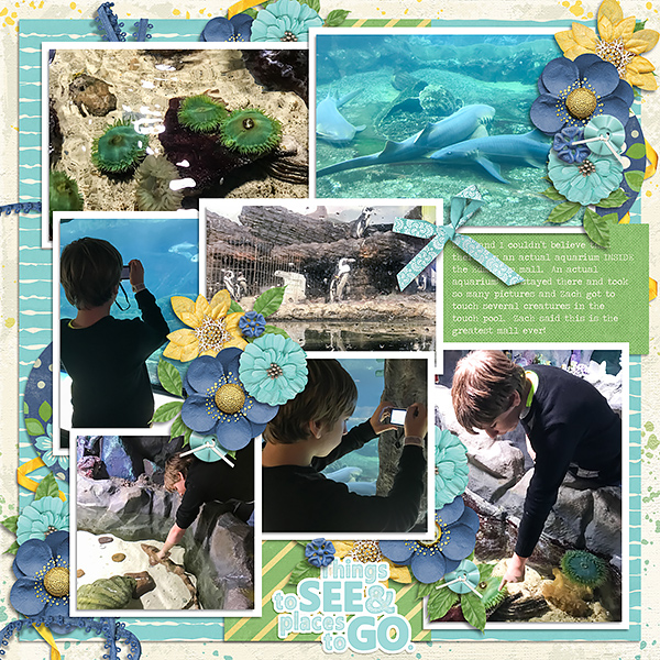 Edmonton Mall Aquarium