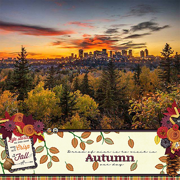 Edmonton_web