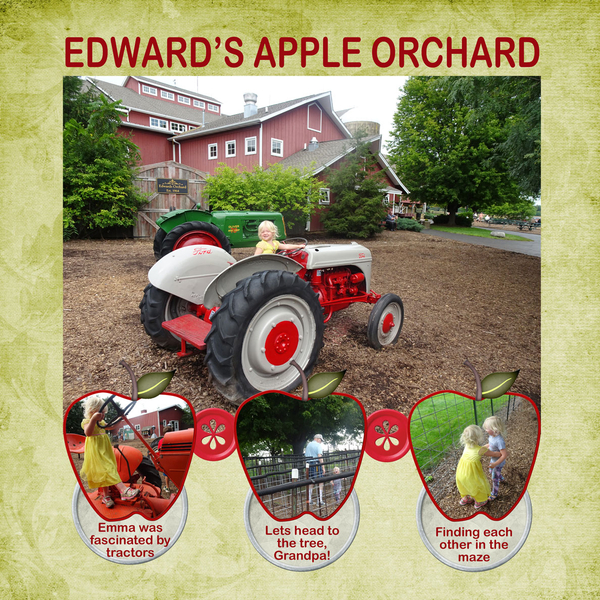 Edwards Apple Orchard 1
