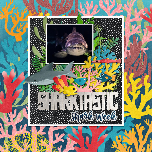 eekasharkTRACY