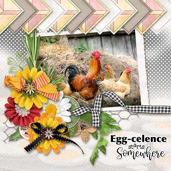 Egg-cellence Starts Somewhere