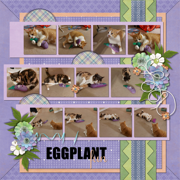 Eggplant Fun