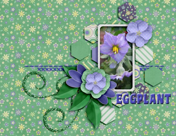 Eggplant