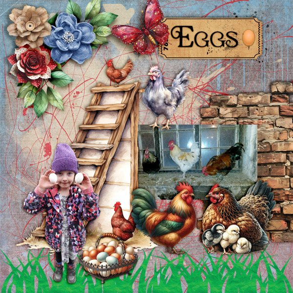 Eggs.jpg
