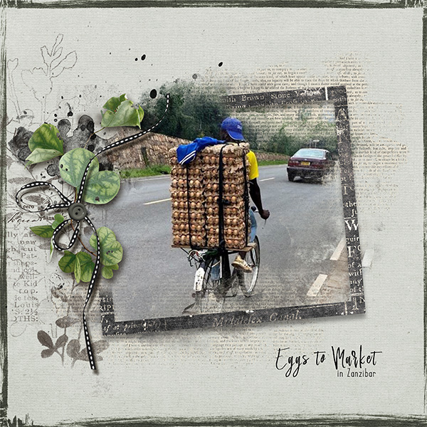 Eggs to Market