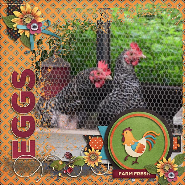 Eggs