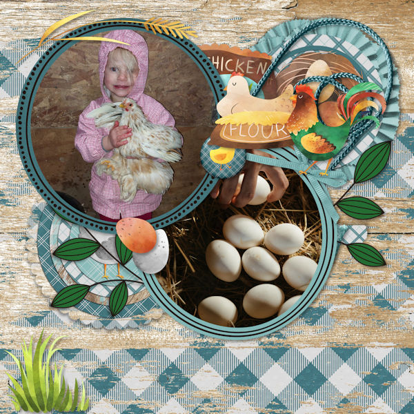 Eggs