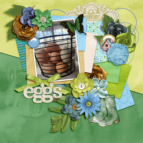 Eggs