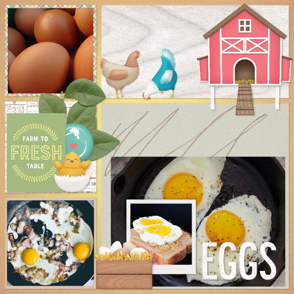 eggs8