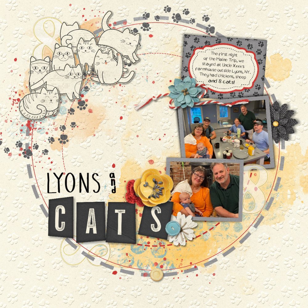 Eight Cats.jpg