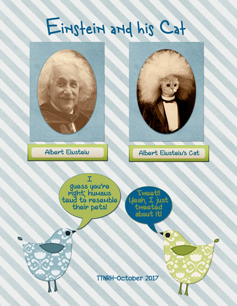 Einstein and his Cat