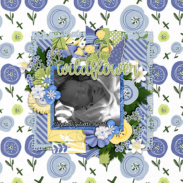 eji-born